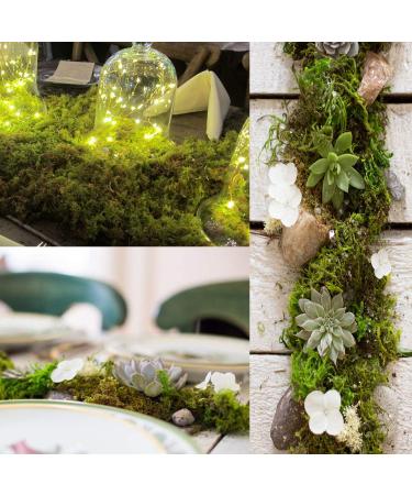 Topcomww Artificial Green Moss for Plant Crafts & Flower Centerpieces - 3.5oz - Buy Online on GoSupps.com