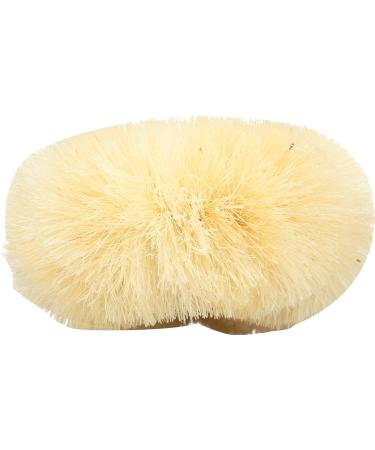 Earth Therapeutics Back Brush - Removable Design | 1 Count - Buy Online on GoSupps.com