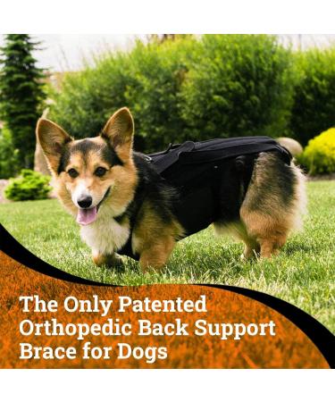 PURPLELILY Injury Support Dog Vest Aid Recovery And Improve Comfort Breathable Vest Bracer Provide Stability And Support Large - Buy Online on GoSupps.com