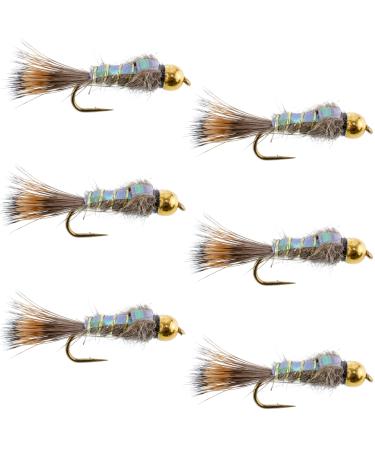The Fly Fishing Place Tungsten Bead Head Nymph Fly Fishing Flies - Flashback Gold Ribbed Hare's Ear Trout Fly - Nymph Wet Fly - 6 Flies Hook Size 10