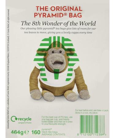 PG Tips Pyramid Tea Bags 160 Count Box (Pack of 1) - Buy Online on GoSupps.com