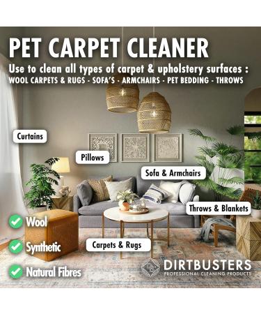 5L Dirtbusters Pet Carpet Cleaner: Blackberry & Fig Urine Odour & Stain Shampoo - Buy Online on GoSupps.com