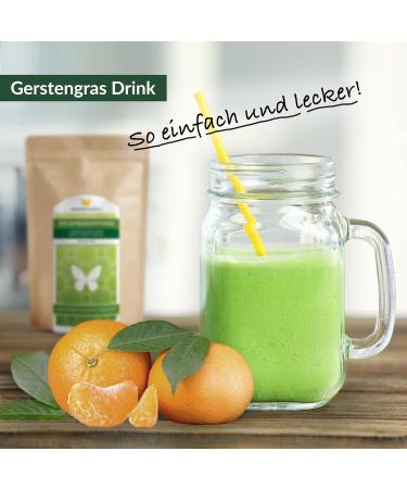 Buy 1kg Barley Grass Powder - Raw Additive-Free Gentle Processing | Winged Wingers - Buy Online on GoSupps.com