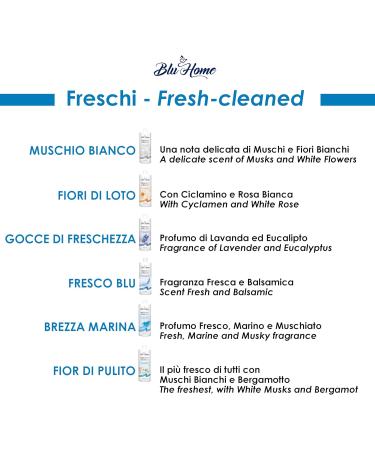 BLU HOME Laundry Perfume Concentrated - Blue Fern 500 ml | Premium Freshness for Your Laundry - Ships Internationally - Buy Online on GoSupps.com