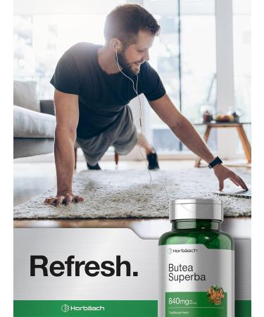 Horb ach Butea Superba Root 840mg | 90 Capsules | Male Performance | Non GMO Gluten Free Supplement - Buy Online on GoSupps.com