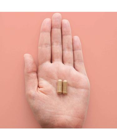 HEAL + CO. Ashwagandha Supplement | High Potency 5:1 extract 5000mg per serving | Stress + Energy Support | 120 x 500 mg Capsules - Buy Online on GoSupps.com