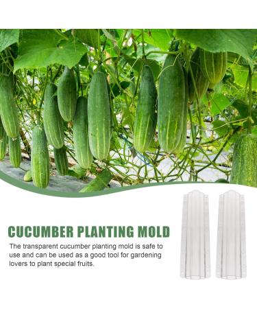 UPKOCH 2pcs Vegetable Shaping Mold Mushroom Growing Supplies Fruit Growth Molds Strawberry Growing Mold Clear Vegetable Mold Garden Cucumber Molds Fruit Mould Tool Modeling Picking Garden - Buy Online on GoSupps.com