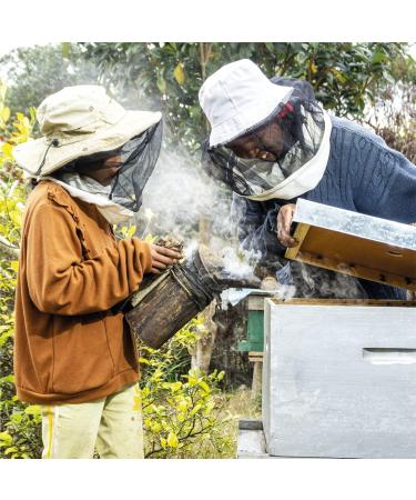 Ilanga Nature - 100% pure Rainforest Honey - 5 kg Honey Bucket - Family Size - Madagascar Honey - Certified Organic - Buy Online on GoSupps.com