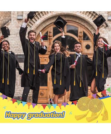 48 Pcs Gold Graduation Cords with Tassel for Bachelor, Master, Doctor Ceremonies - Buy Online on GoSupps.com