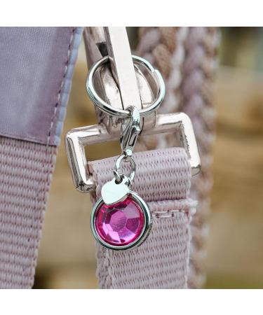 Soulhorse Bridles & Lucky Charms for Horses | Pink Charm Keychain & Trailer Accessories - Buy Online on GoSupps.com