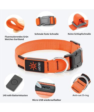 KOSKILL LED Dog Collar - Waterproof Adjustable & Bright | USB Rechargeable | Perfect for Medium & Large Dogs (Orange M) - Buy Online on GoSupps.com