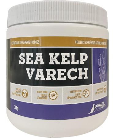 Loyalty Dog Treats Slippery Elm Powder & Sea Kelp Digestive Supplements Bundle - Buy Online on GoSupps.com