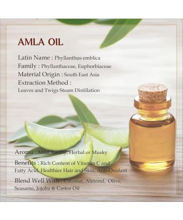  Vedanta Crafts Vedanta Craft Premium Amla Oil 30ml Hair and Skin Care Superior Quality Indian Source - Buy Online on GoSupps.com
