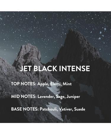 Michael Malul Jet Black Intense Eau de Parfum for Men - 10ml Travel Size 0.3 Fl Oz (Pack of 1) - Buy Online on GoSupps.com