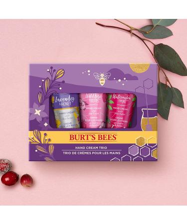 Burt's Bees Hand Cream Trio Gift Set - Lavender Honey, Watermelon Mint, Wild Rose Berry Shea Butters | Body Care Stocking Stuffers - Buy Online on GoSupps.com
