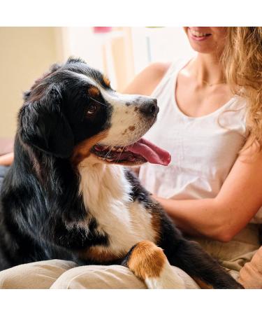 Beaphar Fresh Breath Anti-Plaque Spray | 150ml for Dogs & Cats | Dental Care to Combat Bad Breath & Tartar - Buy Online on GoSupps.com