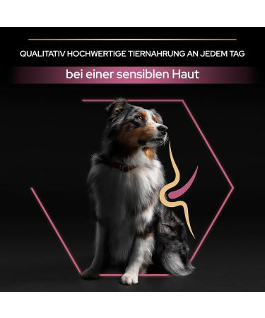 PRO PLAN Medium Adult Sensitive Skin Rich in Salmon - 14kg - Dry Food for Medium Adult Dogs with Sensitive Skin - Buy Online on GoSupps.com