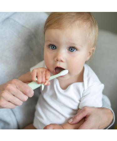 Dr. Brown's Infant-to-Toddler Training Toothbrush Set - Mint Elephant & Fluoride-Free Strawberry Baby Toothpaste for 0-3 Years - Buy Online on GoSupps.com