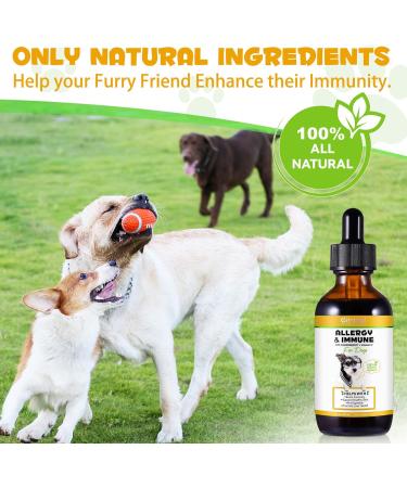 Natural Allergy Relief for Dogs - Herbal Drops for Itchy Skin & Seasonal Allergies - Supports Healthy Immune System - Bacon Flavor - 60ml - Buy Online on GoSupps.com