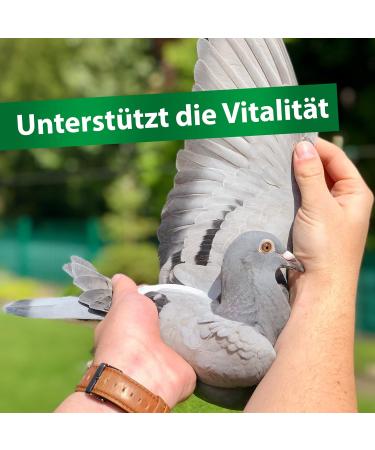 R hnfried Avidress Plus 5000 ml - Protect Pigeons & Rabbits | Mineral & Herbal Water Treatment | Lower Infection Risk - Buy Online on GoSupps.com