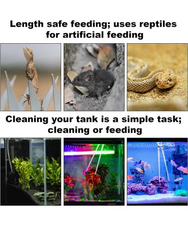 lasuroa Reptile Feeding Tongs 14.5in Snake Feeding Tongs Anti-Slip Corn Ball Python Accessories for Terrarium Extra Long Tweezers for Snake Tortoise Lizard Frog Spider - Buy Online on GoSupps.com