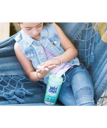 Wet Ones Sensitive Skin Hand Wipes - 40 Count Canister | Gentle Cleansing Wipes for Sensitive Hands - Buy Online on GoSupps.com