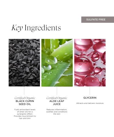 Intelligent Nutrients Seed Synergy Foaming Cleanser - Deep Cleaning & Hydrating Face Wash for All Skin Types | Vegan | 5 Oz - Buy Online on GoSupps.com