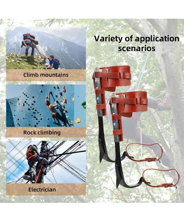 Tree Climbing Spikes Set - Adjustable Long Tool for Indoor/Outdoor Sports - Non-Slip Pedal for Fruit Picking - TWSOUL Tree Climbing Gear - Buy Online on GoSupps.com
