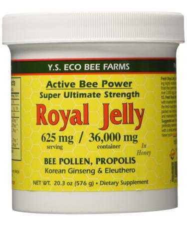 Y.S. Eco Bee Farms Royal Jelly In Honey 20.3 oz (576 g)