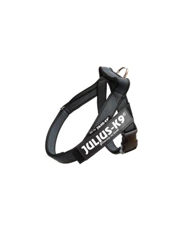 Julius-K9 IDC Color & Gray Belt Harness Size: S / Mini Black-Gray Black-Gray S/Mini - Buy Online on GoSupps.com