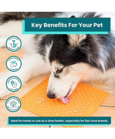 LickiMat X Large Buddy Dog Feeding Mat for Boredom and Anxiety Relief Ideal for Food Treats Yoghurt or Peanut Butter Fun Alternative to a Slow Feeder Dog Bowl Perfect for Large Breeds Turquoise - Buy Online on GoSupps.com
