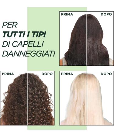  Garnier Garnier Fructis Multi Pack Shampoo Repair & Strengthen For Damaged Hair Deep Repair For Stronger Hair With Marula Oil and Repairing Keratin Keratin Filler Pack of 6 - Buy Online on GoSupps.com