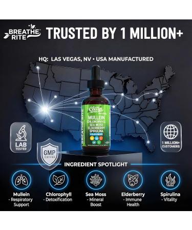 Clean Nutra Mullein Drops for Lungs Organic Chlorophyll Liquid Irish Sea Moss Spirulina Licorice Tart Cherry Lobelia Motherwort & Elderberry Mullein Leaf Extract Tincture Men Women Supplement - Buy Online on GoSupps.com