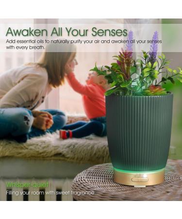 Earnest Living Essential Oil Diffuser - Ceramic Succulent Pot 100ml Night Light Timer & Auto-Off Function for Lavender Aromatherapy - Buy Online on GoSupps.com
