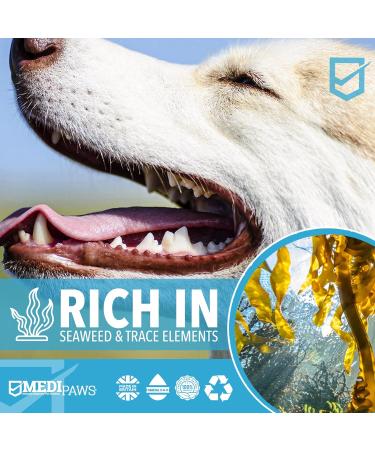 MediPaws Plaque Off Remover 500g | For Dog Teeth & Bad Breath | Easy Oral Care - No Toothbrush Needed | For Dogs, Cats & Pets - Buy Online on GoSupps.com