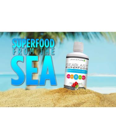 Lean & Pure Sea Blast Superfood - Vegan Non-GMO Gluten-Free Digestive & Immune Support 32 oz Cran-Raspberry - Buy Online on GoSupps.com