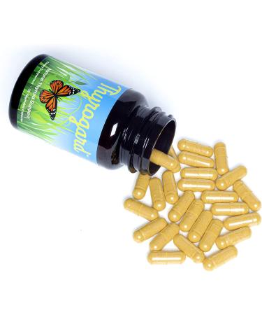 Thyrogard - Natural Thyroid Support Supplement | Non-GMO, Vegan, Gluten-Free - Buy Online on GoSupps.com