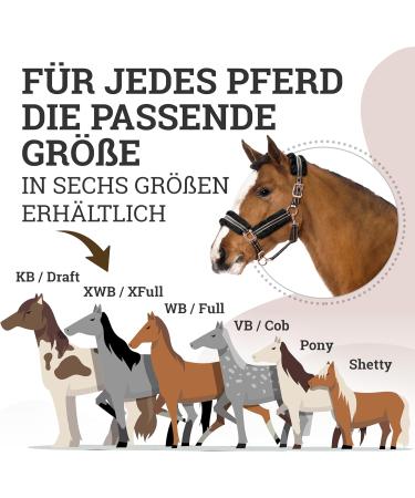 Esposita Halfter Champion Edition - Premium Soft Throw with Synthetic Fur (XFull/XWB Black/Rose Gold) - International Shipping Available - Buy Online on GoSupps.com