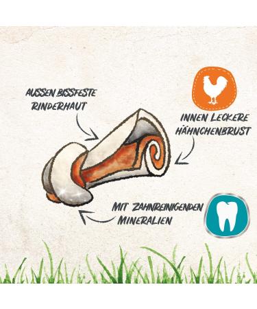 8in1 Pro Dental Bone for Small Dogs - Healthy Chewing Dental Care 35g (1 Pack) - International Shipping - Buy Online on GoSupps.com