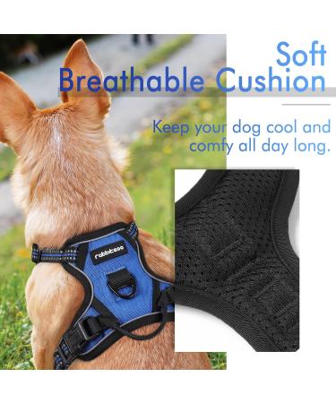 Rabbitgoo Adjustable Dog Harness for Small Dogs - No Pull Control Breast Harness with Reflex Stripes Breathable Design - XS Blue (1 Pack) - Buy Online on GoSupps.com
