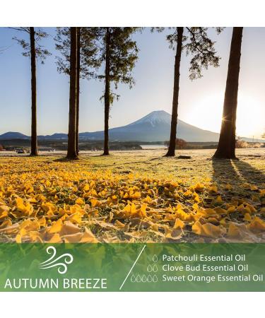 Premium Grade Clove Essential Oil 30ML - Pure Oil for Aromatherapy Diffuser, Humidifier, Candle Making - PHATOIL - Buy Online on GoSupps.com