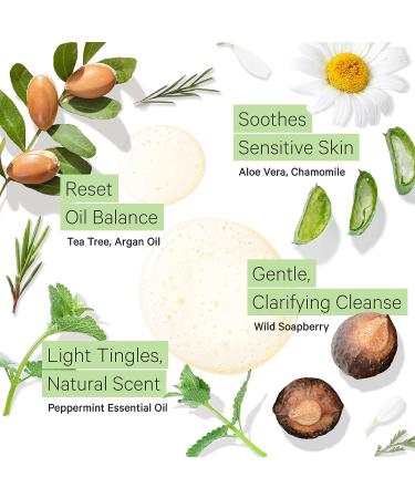 Tree to Tub Peppermint Shampoo - Clarifying, Sulfate-Free Shampoo for Oily Hair & Sensitive Scalp - Organic Argan Oil & Aloe Vera - 8.5 Fl Oz - Buy Online on GoSupps.com