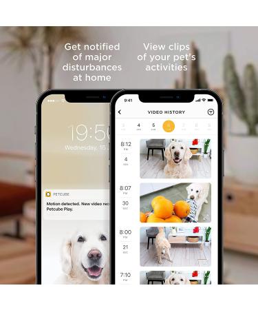 Petcube Bites 2 Lite: Interactive WiFi Pet Camera with Treat Dispenser | 1080p HD Video, Night Vision, Two-Way Audio | Cat & Dog Monitor - Buy Online on GoSupps.com