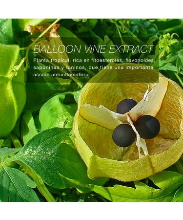 Maystar Sun Supreme Care SPF 50 PA++++ (with color) - Buy Online on GoSupps.com