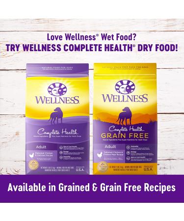 Wellness Complete Health Natural Puppy Food - Chicken & Salmon 12.5oz Can (Pack of 12) - Buy Online on GoSupps.com
