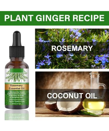 GIMOCOOL Rosemary Essential Oil 30ML Rosemary Hair Oil for Hair Growth Organic Hair Serum to Nourish Scalp and Stimulate Hair Growth - Buy Online on GoSupps.com