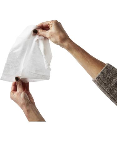 Medline ReadyFlush Large Adult-Sized 8x12 Personal Cleansing Cloths - Tub of 60 Flushable Wipes | Convenient Hygiene Solution - Buy Online on GoSupps.com