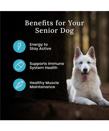 Blue Buffalo Wilderness More Meat & Wholesome Grains Natural Dry Dog Food Senior Chicken 24lb Senior More Meat Wholesome Grains - Buy Online on GoSupps.com