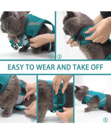 Cat Dishes & Leash Set - Reflective Patrol Gear for Cats | International Shipping Available - Buy Online on GoSupps.com