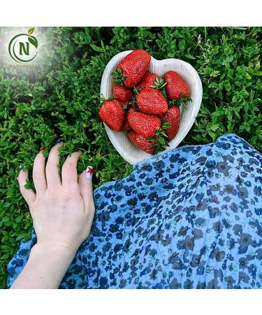 Naturelia Areca Heart-Shaped Kids 6.5-Inch Plates- Eco-Friendly Disposable Biodegradable and Microwave-Palm Leaf Dinnerware for Special Occasions- Natural Plate Ideal for Weddings Parties Events - Buy Online on GoSupps.com